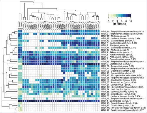 Figure 6. Heat map of major OTU relative abundances in the fecal transplant experiment using 2 different donor samples from mice fed a control and a high vitamin D diet. The Ln of the normalized reads per OTU is shown. The hierarchical clustering was performed using average linkage of samples and OTUs based on Bray–Curtis dissimilarity index of relative abundance profiles. The sample names indicate diet of donors (C for control, D for high vitamin D), cage number (1, 2, 3), ear tag (R for right, L for left, N for none), sex (M, F), and week (1, 2, 4) preceded by an underscore. There is a strong tendency for the week 2 and 4 samples to cluster by diet.