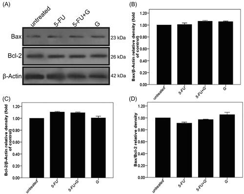 Figure 16. Protein expression levels of Bax and Bcl-2 after treatment with FU, FU-GO/NHs and GO/NHs for 48 h. β-actin was used as internal control. All experiments were done in triplicates and data were presented as mean ± SD.
