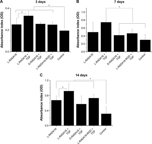 Figure 6 Proliferation effect of released TGF-beta 1 over bone mesenchymal stem cells.