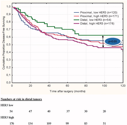 Figure 3. Disease-free survival in proximal and distal tumor location with respect to HER3 expression. For distal colon, the difference in DFS between low and high HER3 expressing tumor is significant (p = 0.03).