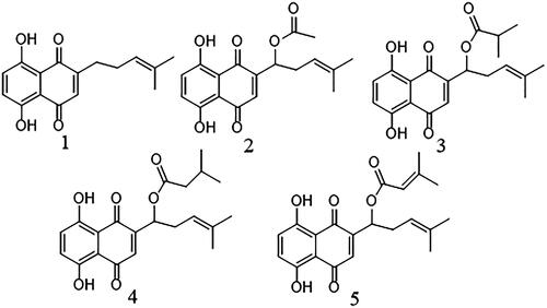 Figure 1. Chemical structure of shikonin derivatives. 1: deoxyshikonin; 2: acetylshikonin; 3: isobutyrylshikonin; 4: β,β′-dimethylacrylshikonin; 5: isovalerylshikonin.