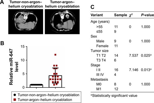 Figure 1 miR-647 was upregulated in lung cancer after argon–helium cryoablation treatment.