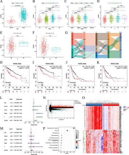 Figure 8 Role of RAD54L in HCC. (A) Expression levels of RAD54L in tumor compared with normal tissues. Expression of RAD54L in HCC patients based on grade (B), stage (C), T (D), N (E) and M (F) stages. (G) Sankey diagram showing RAD54L expression and clinicopathologic characteristics. RAD54L expression was associated with OS (H), DSS (I), PFS (J), and RFS (K). Univariate (L) and multivariate (M) Cox regression analysis of RAD54L in HCC. (N) Volcano map based on RAD54L expression in the HCC. (O) Heat map showing the top 50 up-regulated and down-regulated genes. (P) KEGG enrichment analysis of DEGs.