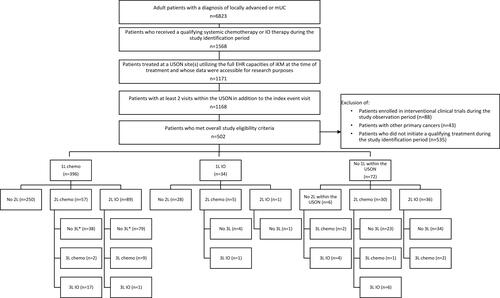 Figure 1 Study attrition.Notes: *These groups of patients were selected for the treatment sequencing subanalyses: patients who received 1L chemotherapy, followed by either 2L chemotherapy (n=38) or IO-based regimens (n=79) without a 3L of treatment.