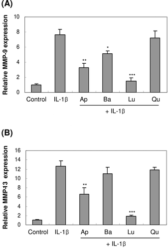 Figure 2.  Effects of flavonoids on the mRNA expression of MMP-9 (A) and MMP-13 (B) in primary cultures of mouse osteoblasts. Cells were treated with 25 μM of each flavonoid, apigenin (Ap), bacalein (Ba), luteolin (Lu) and quercetin (Qu), for 1 h before IL-1β exposure. After further 24-h incubation, MMP-9 and -13 mRNA expressions were measured. *p < 0.05; **p < 0.01; ***p < 0.001 compared with IL-1β-treated control.