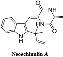 Figure 8 Molecular structure of neoechinulin A.