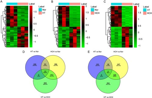 Figure 1. Identification of DEGs: (A) Hierarchical clustering analysis of top 100 DEGs between HT and controls; (B) Hierarchical clustering analysis of top 100 DEGs between HCH and controls; (C) Hierarchical clustering analysis of top 100 DEGs between HT and HCH; row and column represented DEGs and samples, respectively. The color scale represented the expression levels. (D) Venn diagram of up-regulated DEGs in HT and HCH. (E) Venn diagram of down-regulated DEGs in HT and HCH. Purple represented DEGs between HT and controls; yellow represented DEGs between HCH and controls; green represented DEGs between HT and HCH.