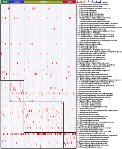 Figure 2. Heatmap showing 76 disease activity-associated bacterial features identified by LEfSe. The top 500 features were used for LEfSe analysis (LDA >2). Cells are colored based on a Z-score scale of bacterial abundances. HCs (n = 17), MiUCs (n = 29), MoUCs (n = 79), and SUCs (n = 25).