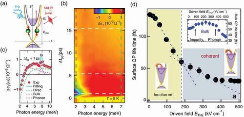 Figure 3. Ultrafast manipulation surface transportation driven by mid-IR and THz pulses in Bi2Se3. (a) Experimental schematics of the mid-IR and THz pump-THz probe process in Bi2Se3 film. (b) Frequency-dependent THz conductivity induced by strong mid-IR pump pulse at various pump-probe delays. (c) is extract from (b) at pump-probe delay of 1 ps, the solid and dashed lines are the fitted curves including surface and bulk contributions. (d) surface transport lifetimes as a function of THz driving field strength, which shows a clear transition at ~180 kV/cm. Inset: THz field induced bulk transport lifetime. Reproduced from [Citation63,Citation64].