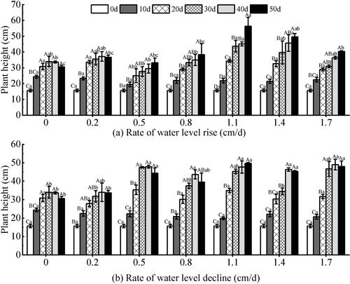 Figure 5. Effect of water level change on the number of blades of V. natans. Different capital letters indicate the difference between the same change rate and different test times, and different lowercase letters indicate the difference between the same test time and different change rates.