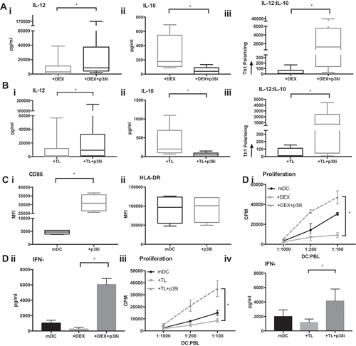 Figure 6. p38i restores the IL-12:IL-10 balance from the Dex or TL treated cDC2. (a): Reversal of the suppressive effects of Dex. cDC2 isolated from healthy volunteers exposed to Dex with/or without p38i (n = 9) showed significantly higher IL-12 (i), reduced IL-10 (ii) and a favorable skewing towards Th1 polarisation with p38i (iii). Figure 6 (b): Reversal of adverse effects of TL on cytokine. Healthy donor cDC2 (n = 9) exposed to TL showed higher IL-12 (i), reduced IL-10 (ii) and a favorable skewing towards Th1 polarisation with p38i (iii). (c): Improved phenotype of DC with p38i treatment. Isolated cDC2 were matured with R848 and polyI:C with/or without pre-incubation with p38i (n = 4). CD86 expression was significantly increased in p38i cDC2 compared to matured cDC2 (i) while HLA-DR expression was unchanged. (d): Enhanced T-cell stimulatory capacity of DC following p38i. Isolated cDC2 were exposed to Dex and TL with/without p38i. DC were then co-cultured with lymphocytes for 5 days (n = 3). p38i restored and enhanced cDC2 stimulatory capacity in MLR above normal levels (mDC). Data from a representative donor is shown (i and iii). A significant increase in IFNγ secretion suggested a Th1 polarisation results as shown in the representative example (ii and iv).