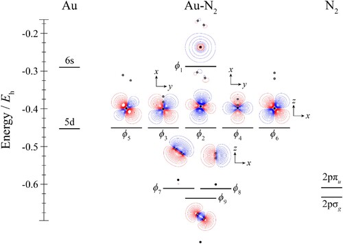Figure 7. Molecular orbital diagram for Au–N2. See text for details. The contours are the same for all molecular orbitals shown. The position of the gold nucleus is indicated by a black dot, and that of the nitrogen nuclei by grey dots. Orbitals lie in the yz plane unless indicated by the presence of axes, where these axes are located on the Au. In the latter cases, one or more of the nitrogen atoms may not be visible.