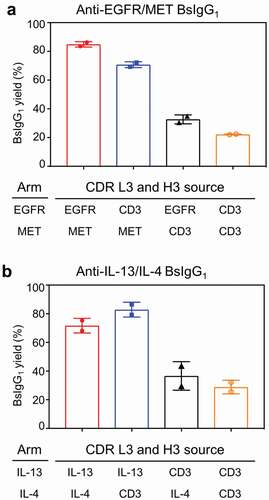 Figure 4. Contributions of CDR L3 and H3 to bispecific yield for (a) anti-EGFR/MET and (b) anti-IL-13/IL-4 BsIgG1. CDR L3 and H3 for one of both arms of each BsIgG1 were replaced with corresponding sequences from an anti-CD3 antibody to investigate their contribution to BsIgG1 yield. Data plotted are the mean ± SD of two independent experiments from optimized LC DNA ratios. See Table 1 for additional experimental details.