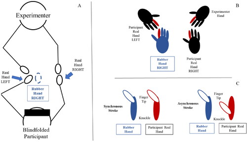 Figure 1. Panel A shows the setup for the somatic RHI. Panel B zooms into the hands (highlighting in red the fingers used for stroking and the stimulated fingers to induce the illusion) and panel C shows how the synchronous and asynchronous strokes differ.