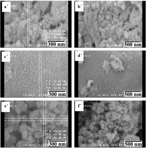 Figure 6 FE-SEM micrographs of PAI5a (a’, b’), PAI5c (c’, d’), and PAI5d (e’, f’) after ultrasonic irradiation.