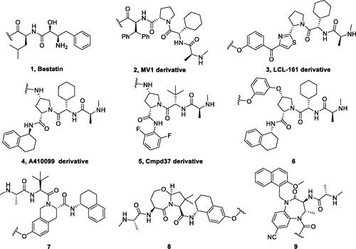 Figure 4. Chemical structures of small-molecular IAP ligands.