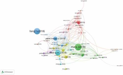 Figure 7. Shows network mapping of the most cited documents.