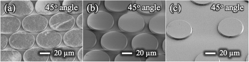 Figure 3. SEM images of micro-pillars array on the film. The diameters and heights of the micro-pillars are 50 and 10 μm, respectively. The gaps between the micro-pillars are 5 μm (a), 10 μm (b) and 50 μm (c).