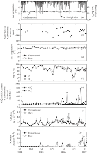 Figure 3 Seasonal variation in air temperature and precipitation (a), water table (b), soil temperature (c), water-filled pore space (WFPS) (d), ammonium (), nitrate () concentrations (e), and carbon dioxide (CO2) (f) and nitrous oxide (N2O) fluxes (g) in cropland C (CL-C) in central Kalimantan, Indonesia. Conventional and bare represents conventional cultivation treatment and bare treatment, respectively. Ammonium and concentrations (e) are only reported in the conventional treatment. Error bars show standard deviation.