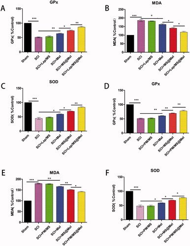 Figure 6. (A–F) The SOD, MDA and GPx levels of spinal cord tissue across different groups (n = 5 per group).