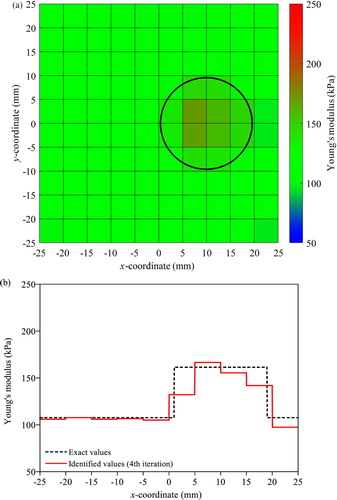 Figure 10. Identified Young’s moduli under free vibration by the T-S EEE without regulation for the hard inclusion with Young’s modulus of 160.5 kPa: (a) colour map (b) variation along the elements in the first layer above the centre line in x direction.