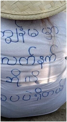 Figure 6. Woman protestor’s T-shirt: “I only have a vagina as a weapon.”Source: Public post from Facebook account, now unavailable.