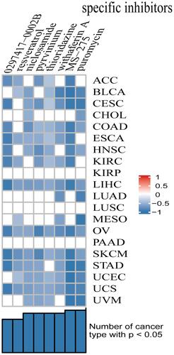 Figure 8 Small molecule drugs with significant correlations as revealed by the results of CMap analysis.