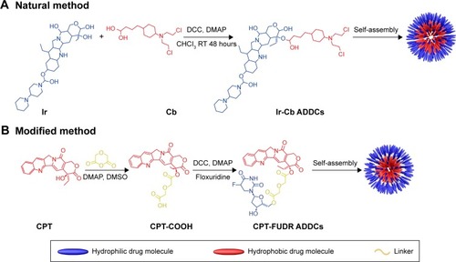 Figure 9 Ir-Cb ADDC following natural method (A) and CPT-FUDR ADDCs following modified method (B).Abbreviations: Ir, irinotecan; Cb, chlorambucil; ADDCs, amphiphilic drug–drug conjugates; CPT, camptothecin; FUDR, fluorodeoxyuridine; DCC, dicyclohexylcarbodiimide; DMAP, dimethylaminopyridine; RT, room temperature; DMSO, dimethyl sulfoxide.