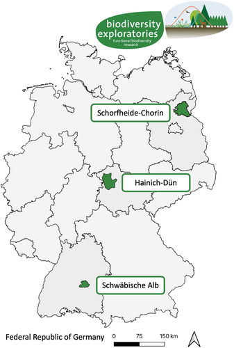 Figure 1. Map of Germany showing the three case-study regions of the Biodiversity Exploratories in which semi-structured interviews were conducted: Schorfheide-Chorin (North East), Hainich-Dün (Centre), Schwäbische Alb (South West). Source: own figure based on BExIS (Citation2022) and Esri (Citation2018) data.