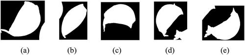 Figure 10. Shearing results: (a) shearing result 1 for Figure 8(a), (b) shearing result 2 for Figure 8(a), (c) shearing result for Figure 8(b), (d) shearing result 1 for Figure 8(c), (e) shearing result 2 for Figure 8(c) .