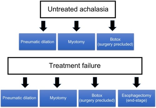 Figure 2 Treatment algorithm for achalasia.
