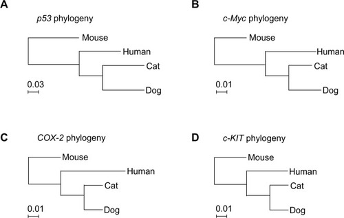 Figure 2 Phylogenic trees of genes for different species.