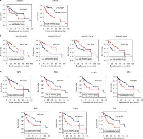 Figure 7 Kaplan–Meier analysis to display the correlation of differentially expressed lncRNAs (A), miRNAs (B), and genes (C) with overall survival outcomes for patients with HBV-related HCC.Abbreviations: HBV, hepatitis B virus; HCC, hepatocellular carcinoma.