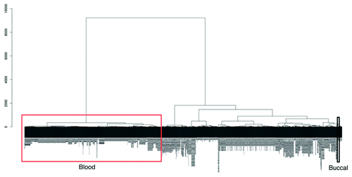 Figure 5. An unsupervised hierarchical cluster dendogram of 1,052 different Illumina 450K arrays. Due to the large size of the image the sample labels are not legible in the figure but a large version is available to download in the supplementary (Fig. S2). We have highlighted in the figure the location of blood cell types (red rectangle) and those of our buccal data (black rectangle). There are two main clusters, one of blood cell types and the other of all other tissue types including cell lines, somatic tissue and our buccal data. This suggests that blood cell types have a vastly different methylation state than those of all others. The dendrogram was calculated using agglomerative hierarchical clustering with the euclidian distance as the metric and the Ward linkage criteria. The root of the dendrogram is at the top and the y-axis represents the euclidian distance between the clusters at each splitting point.