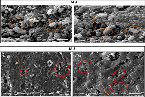 Figure 15. SEM images of specimens of mixes M-4 and M-5 clarify a heterogeneous loose structure (M-4, a-b), many open pores, micro cracks, and little unreacted particles (M-5, a-b).