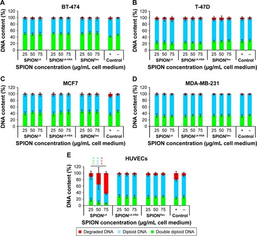 Figure 5 DNA degradation and cell cycle analysis by propidium iodide-triton X (PIT) staining.Notes: Cells were incubated for 48 h with increasing amounts of SPIONLA, SPIONLA-HSA and SPIONDex and analyzed by flow cytometry. The DNA conditions are shown for (A) BT-474, (B) T-47D, (C) MCF7, (D) MDA-MB-231 and (E) HUVEC cells as the amount of degraded DNA, diploid DNA (G1-phase) and double diploid DNA (synthesis/G2-phase). Positive controls contain 2% DMSO, negative controls represent the corresponding amount of H2O instead of water-based ferrofluid. Data are expressed as the mean ± standard deviation (n=4 with technical triplicates). Statistical significance of 48 h data sets are indicated with ***P<0.0001 and were calculated via Student’s t-test analysis. Colored asterisks indicate dose-dependent significance between lowest and highest SPION concentrations on degraded DNA (red asterisks), diploid DNA (blue asterisks) and double diploid DNA (green asterisks).Abbreviations: SPION, superparamagnetic iron oxide nanoparticles; SPIONLA, lauric acid-coated SPIONs; SPIONLA-HSA, lauric acid- and human serum albumin-coated SPIONs; SPIONDex, dextran-coated SPIONs; HUVECs, human umbilical vein endothelial cells.