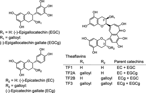 Figure 1. Chemical structures of tea catechins and theaflavins.