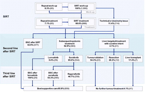 Figure 2. Treatment algorithm following initial treatment with selective internal radiation therapy. Abbreviations. BSC, best supportive care; SIRT, selective internal radiation therapy.