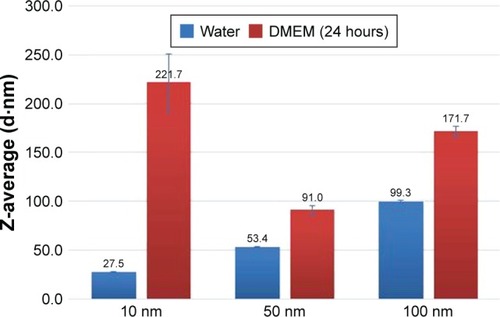 Figure 1 Z-average hydrodynamic size of 10, 50, and 100 nm silver nanoparticles diluted with water and DMEM cell-cultured media (24 hours).