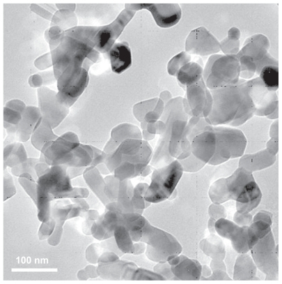 Figure 1 Transmission electron microscopy image of nanoscaled ZnO particles.
