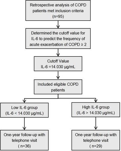 Figure 1 Study scheme.