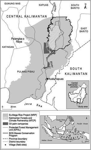 Figure 4. Map of the KFCP showing nearby oil palm concessions and conservation programmes. Map by Author.