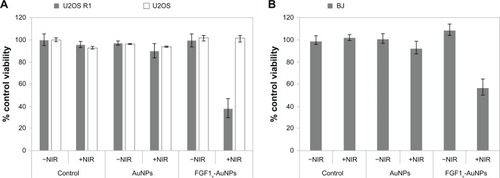 Figure 6 Decrease in viability of FGFR-positive cells after irradiation with NIR. (A) U20S R1 and U20S, and (B) BJ cells treated with FGF1V-AuNPs show significantly decreased viability irradiated with NIR.Notes: Results shown are mean values from three experiments. Bars indicate +/− standard deviation. Cells were treated with NIR (808 nm diode laser, 1.2 A) for 20 minutes, and the visibility was measured by the MTT assay 12 hours after NIR treatment. Equal volume of PBS was added to the control samples.Abbreviations: FGFR, fibroblast growth factor receptor; NIR, near-infrared; FGF1V, fibroblast growth factor 1 variant; AuNPs, gold nanoparticles; MTT, 3-(4,5-dimethylthiazol-2-yl)-2,5-diphenyltetrazolium bromide; PBS, phosphate buffered saline.