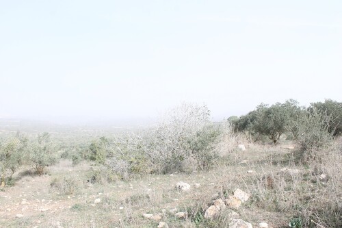Figure 3. The area around Ḥorvat Maskana. (Photography M. Osband).