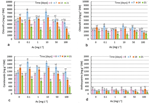 Figure 4. Effects of As(V) exposure (0.1, 1, 10, 50 and 100 mg As(V) L−1) of B. erecta in vitro on content of (a) chlorophyll a, (b) chlorophyll b, (c) carotenoids and (d) anthocyanins. were determined at the beginning and after 7, 14 and 21 days of the experiment. Means ±SD (n = 6–8) are shown. Significant differences are indicated by different letters (Kruskal–Wallis test, Dunn’s post hoc, P ≤ 0.05).