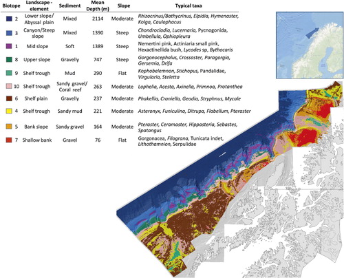 Figure 9. Example of biotope distribution from www.mareano.no. The map shows 10 biotopes (indicated with different colours) in the Lofoten-Vesterålen region.