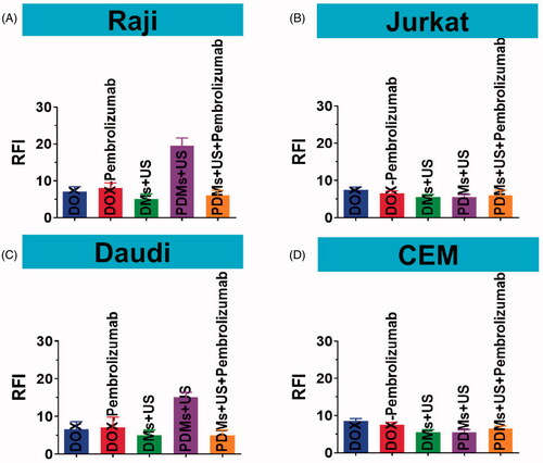 Figure 6. DOX relative fluorescence intensity (RFI) in Raji, Daudi, Jurkat, and CEM cells. Cell RFIs were analyzed 48 h after treatment with DOX, DOX + pembrolizumab, DMs + US, PDMs + US, and PDMs + US + pembrolizumab by flow cytometry. Data are represented as means ± SD (n = 3). **p < .01 compared with PDM + US.
