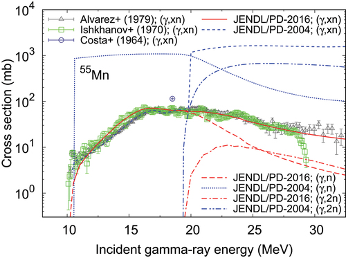 Figure 3. Comparison of the photo-neutron yield, (γ,n) and (γ,2n) reaction cross sections for 55Mn in JENDL/PD-2016 (solid, long-dashed and dot-dashed lines, respectively) with JENDL/PD-2004 (short-dashed, dotted and dot-dot-dashed lines, respectively), and measured data [Citation78–80].