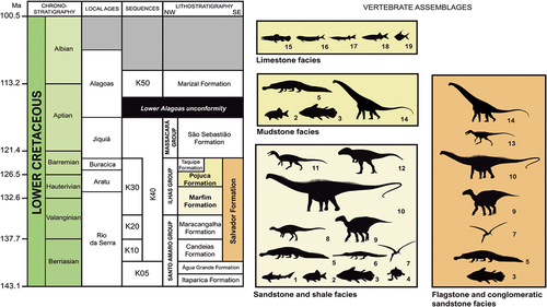 Figure 3. Stratigraphic chart of the Lower Cretaceous Massacará and Ilhas groups (Recôncavo Basin), highlighting their vertebrate assemblages (coloured boxes). 1, hybodontiforms (Acrodus nitidus); 2, semionotids (‘Lepidotes’ spp.); 3, mawsoniids (Mawsonia gigas); 4, undetermined testudines; 5, pholidosaurids (Sarcosuchus hartti); 6, putative gavialoids (‘Thoracosaurus bahiaensis’); 7, pterosaurs (anhanguerids); 8, elasmarians (Tietasaura derbyiana gen. et sp. nov.); 9, iguanodontians; 10, diplodocoids; 11, spinosaurids; 12, carcharodontosaurians; 13, undetermined small theropods (tyrannosauroids?); 14, titanosaurs (lithostrotians); 15, amiids (Calamopleurus mawsoni); 16, cladocyclids (Cladocyclus mawsoni); 17, aspidorhynchids (‘Belonostomus’ carinatus); 18, undetermined clupeomorphs (Scrombroclupeoides scutata); 19, ellimmichthyiforms (Ellimmichthys longicostatum, Ellimmichthys spinosus, Scutatuspinosus itapagipensis). References regarding the vertebrate occurrences were taken through bibliographic survey (see text). Geological chart modified from Da Silva et al. (Citation2007). Silhouettes from several sources.