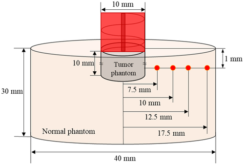Figure 4. Temperature measurement point of phantom.